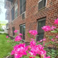 Pelham Park View ico