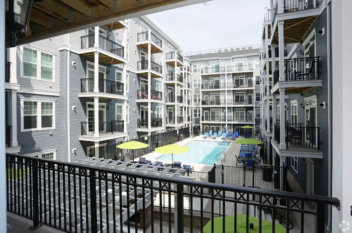 The Allure Mineola Picture 3