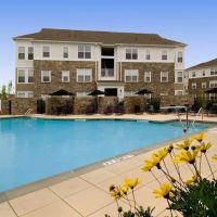 Avalon Westbury ico