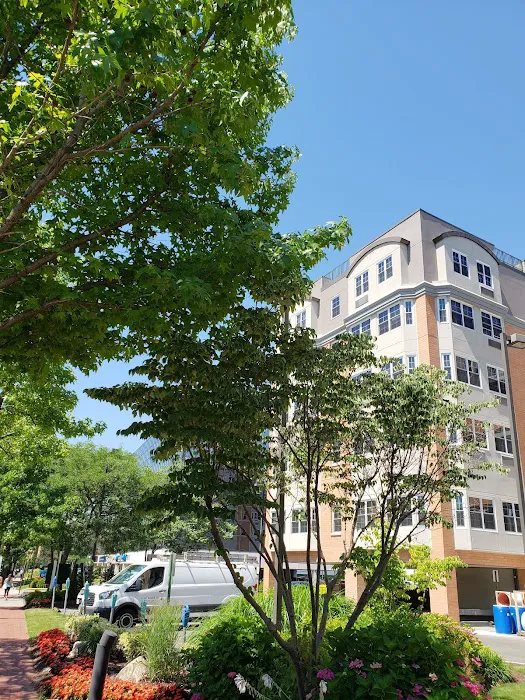 Towers Office Building Picture 3