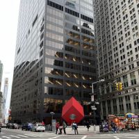 Cedar William ico