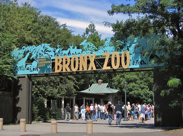 BronxShortStay Picture 5