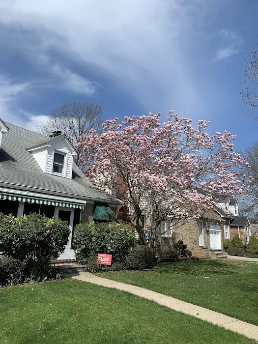 Nancy Scarola Real Estate Picture 1