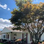 Madison Pierce Real Estate