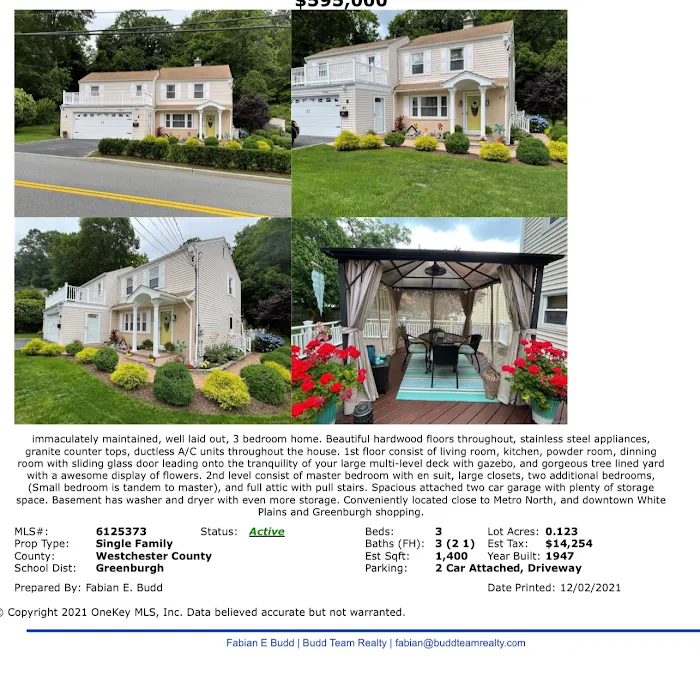 Fabian Budd, Budd Team Realty LLC Picture 9