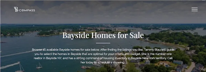 Tammy Blau - Associate Real Estate Broker at Signature Premier Properties Picture 3