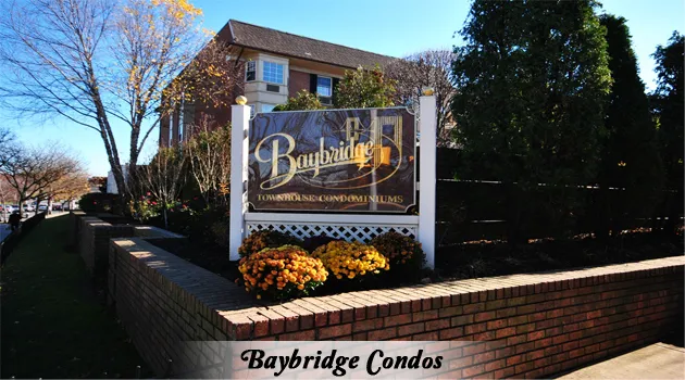 Tammy Blau - Associate Real Estate Broker at Signature Premier Properties Picture 4