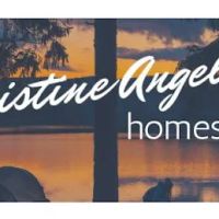 Christine Collins Realtor ico