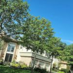 Hamlet Estates Jericho Clubhouse