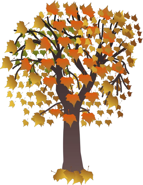 Autumn Realty Picture 9