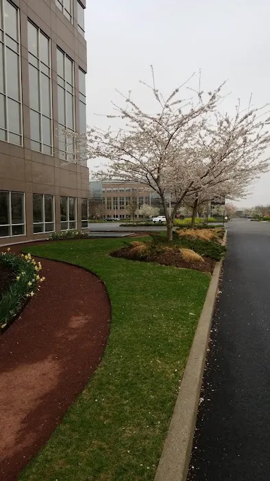 Regus - Melville Expressway II Picture 8