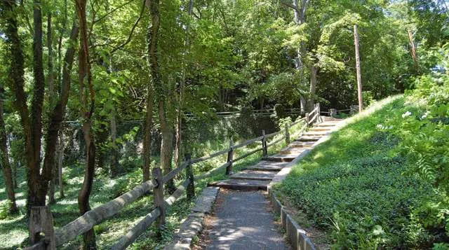 Julia B. Fee Sotheby's International Realty - Bronxville Brokerage Picture 4