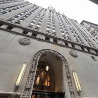 Rose Management Services, LLC ico
