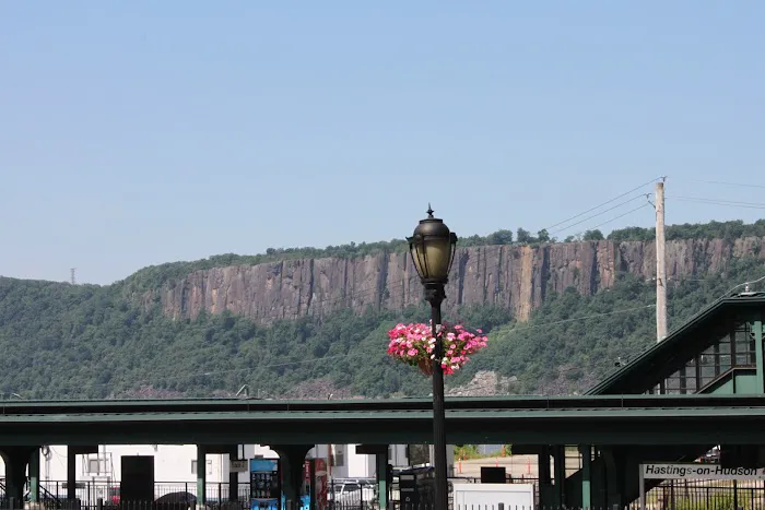 Rivertown Rose Picture 4