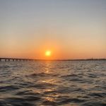 Caroline Pavlik, Signature Premier Properties