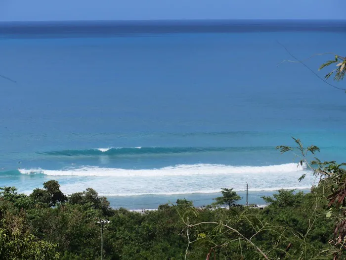 Ocean Green Inc. Picture 3