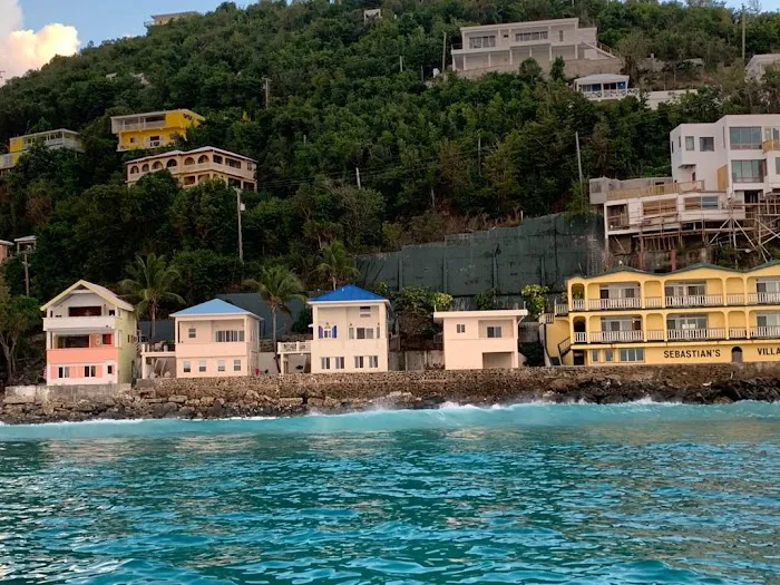 Ocean Green Inc. Picture 4