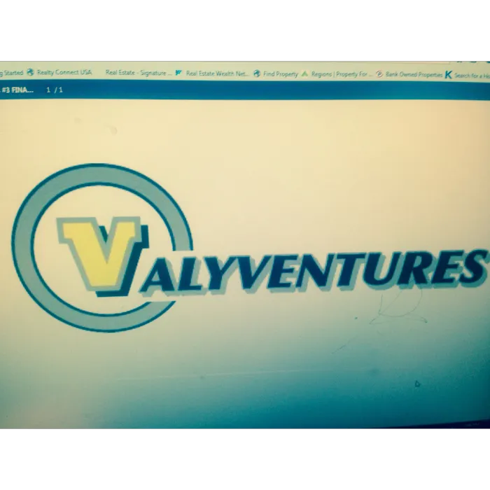 VALYVENTURES, INC Picture 1