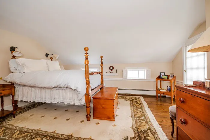 Netter Real Estate Picture 5