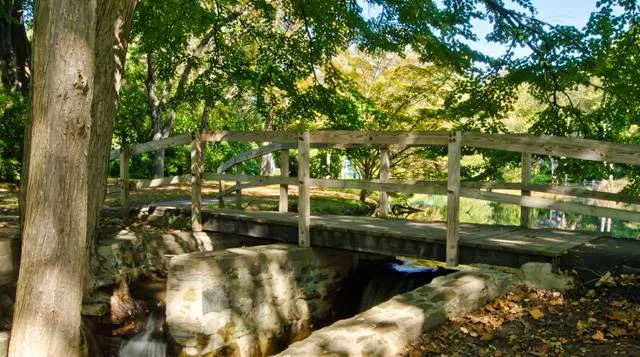 Julia B. Fee Sotheby's International Realty - Scarsdale Brokerage Picture 6