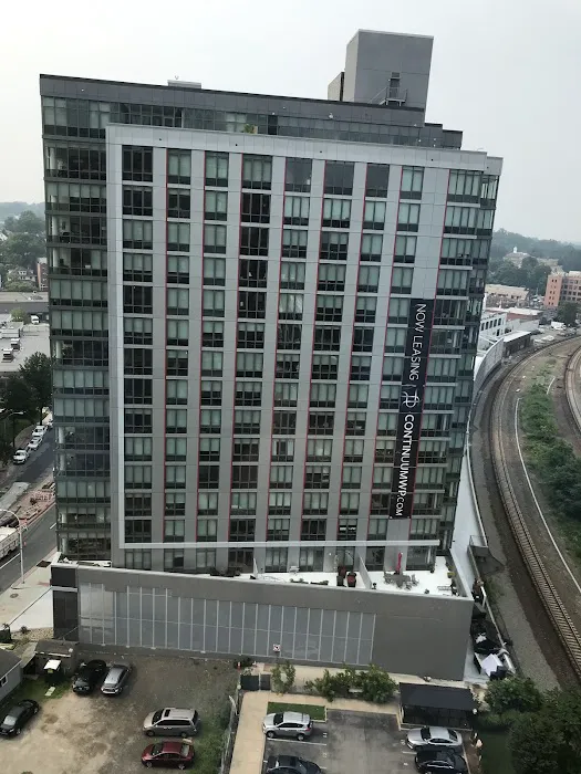 Continuum 55 Picture 7