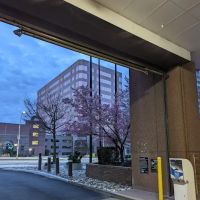 50 Main Street at City Square ico