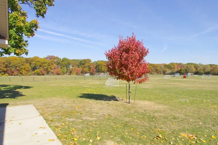 Daniel Gale Sotheby’s International Realty - Syosset/Muttontown, NY Picture 6