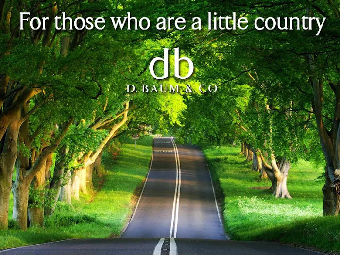 D. Baum & Co Picture 4