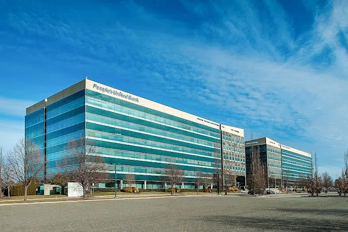 Damianos Realty Group Picture 1