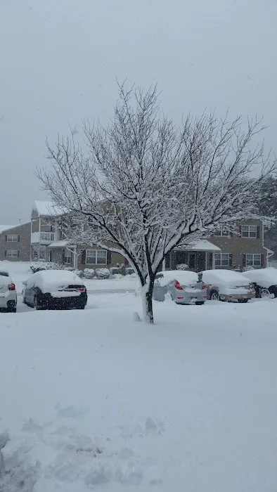 Fairway Manor Picture 5