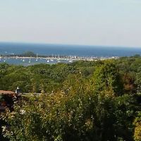 Alexander Madison Realty ico