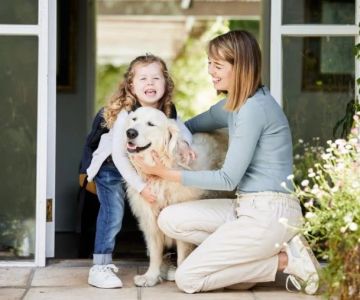 The Benefits of Owning vs. Renting a Home