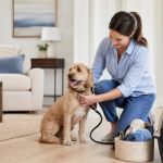 Selling a Home With Pets: A Practical Showing Plan