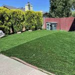 The Best Artificial Turf for Drought-Prone Yards