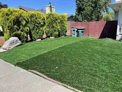 The Best Artificial Turf for Drought-Prone Yards